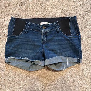 Maternity Shorts